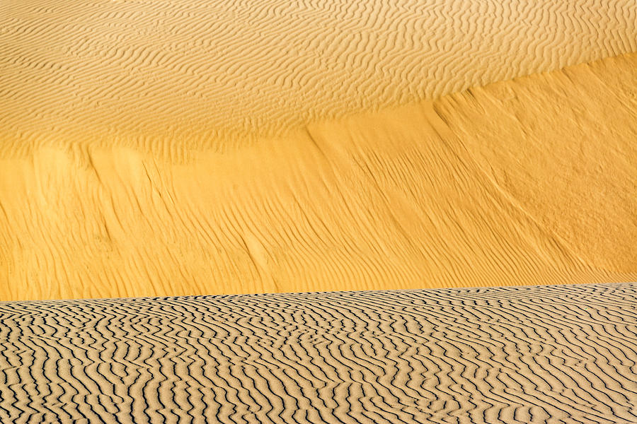 Sand Dune Ripples #1 Photograph by Jess Kraft
