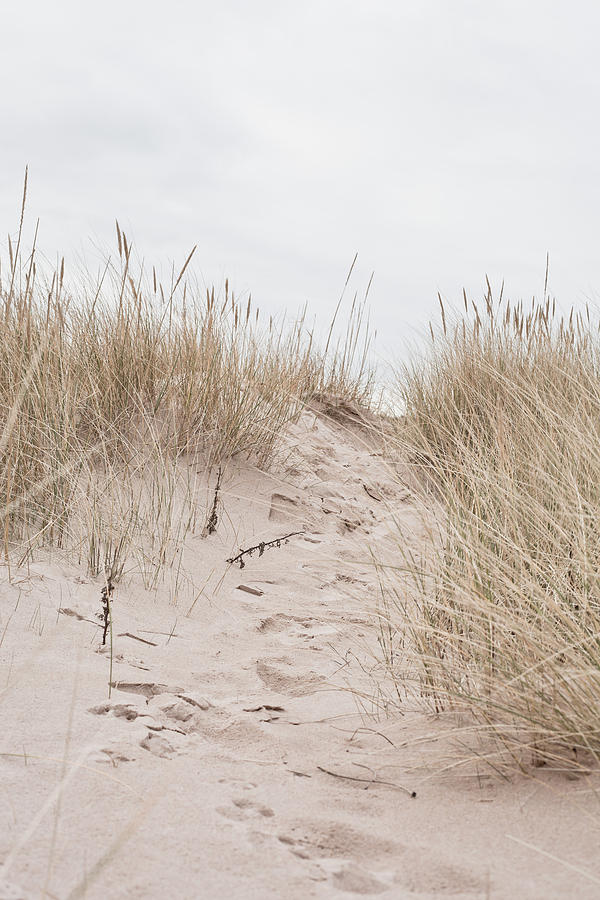 Nature Photograph - Sand dune #1 by Tom Gowanlock