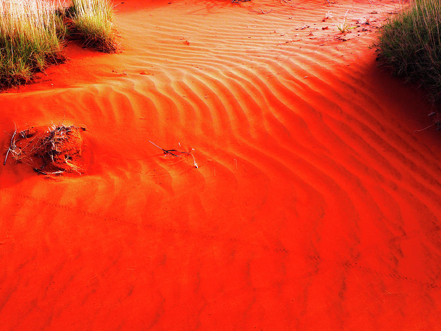 Red sand dunes and desert vegetation in central Australia Stock Photo