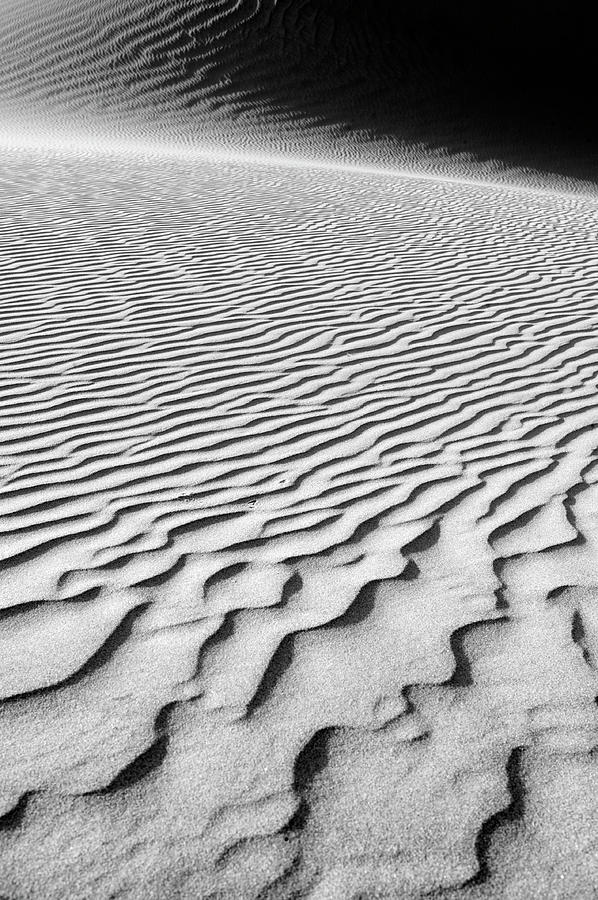 Sand Dunes - Death Valley National Park #1 Photograph by Steve Ellison