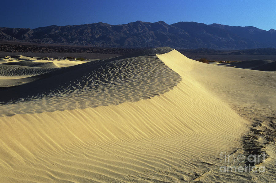 Mountain Photograph - Sand Dunes #1 by Jim And Emily Bush