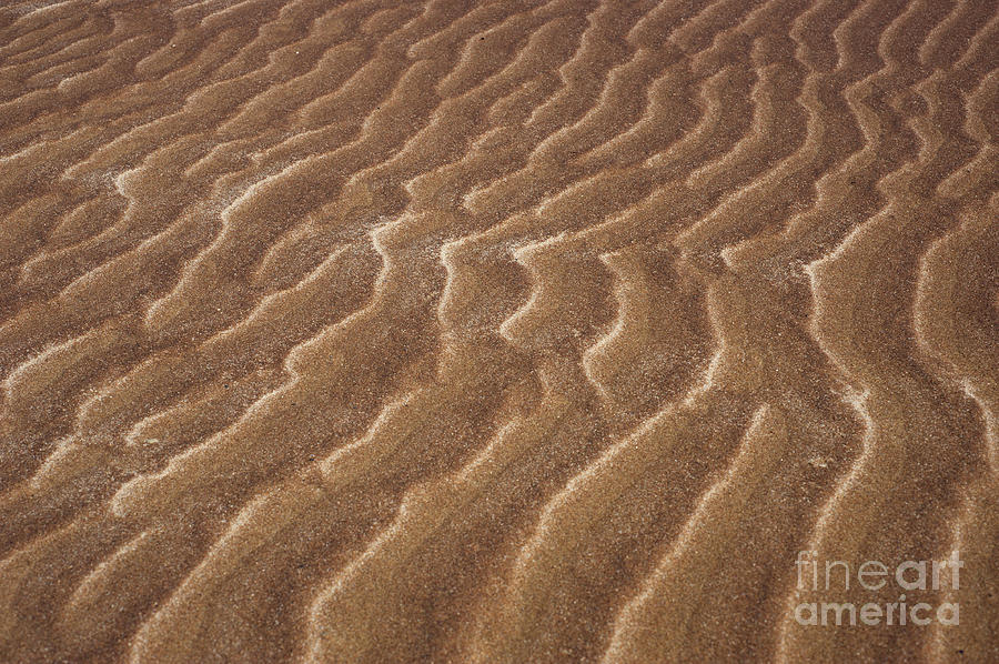 Sand Dunes In Namib Desert #11 Photograph by Francesco Tomasinelli