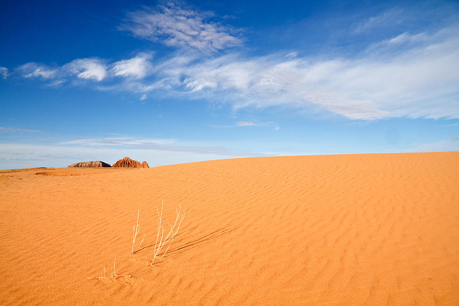 Sand Dunes in San Rafael Desert Photograph by Douglas Pulsipher | Fine ...