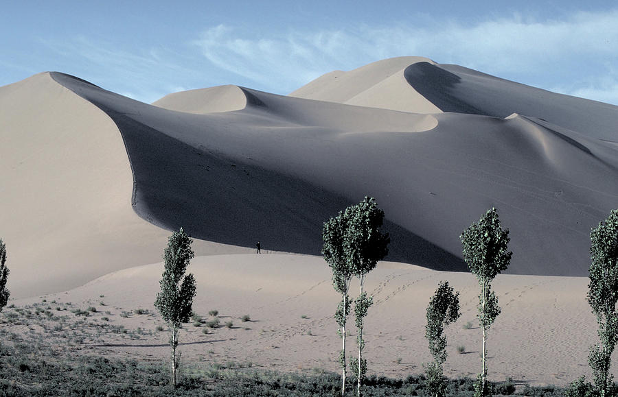 Sand Dunes in the Gobi Desert #1 Photograph by Carl Purcell - Fine Art ...