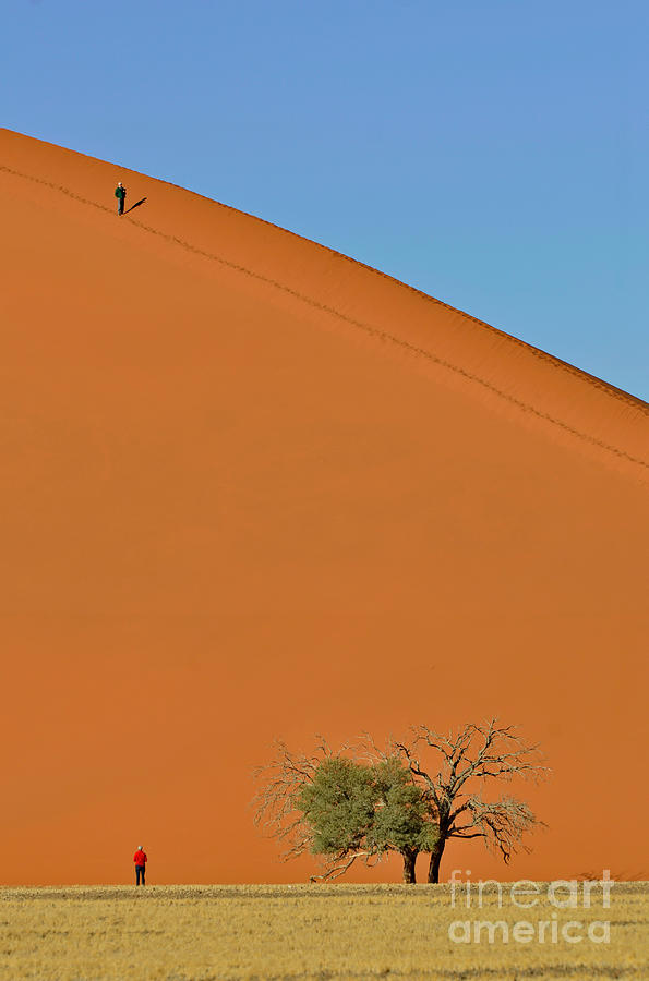 Sand Dunes, Namib Desert #1 Photograph by Francesco Tomasinelli