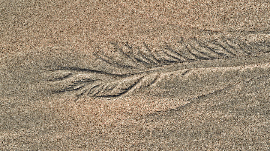 Sand Patterns on the Beach 2 #1 Photograph by Steven Ralser