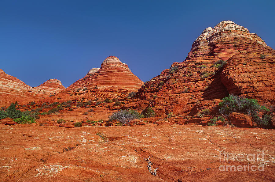 sandstone formations colorado plateau utah by Dave Welling sandstone formations colorado plateau utah by Dave Welling