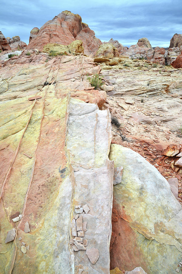Sandstone Rainbow in Valley of Fire #1 Photograph by Ray Mathis
