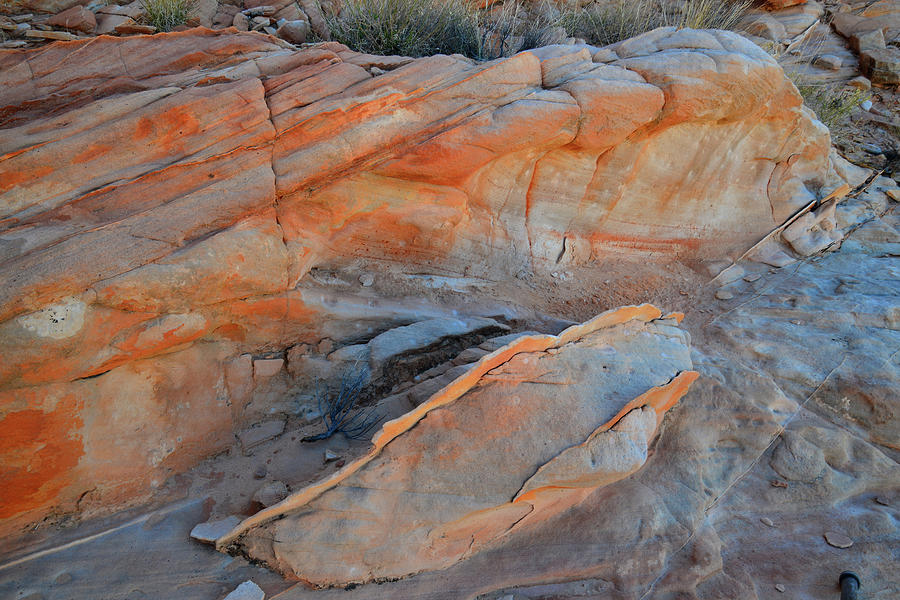 Sandstone Sculpture in Valley of Fire #1 Photograph by Ray Mathis