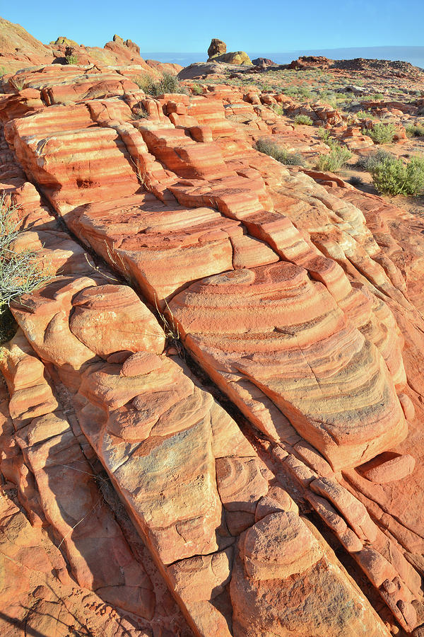 Sandstone Staircase in Valley of Fire #2 Photograph by Ray Mathis