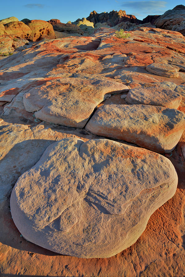 Sandstone Stepping Stones in Valley of Fire #1 Photograph by Ray Mathis
