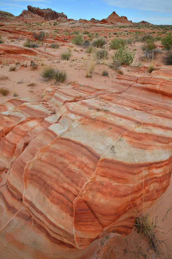 Sandstone Stripes in Valley of Fire #1 Photograph by Ray Mathis