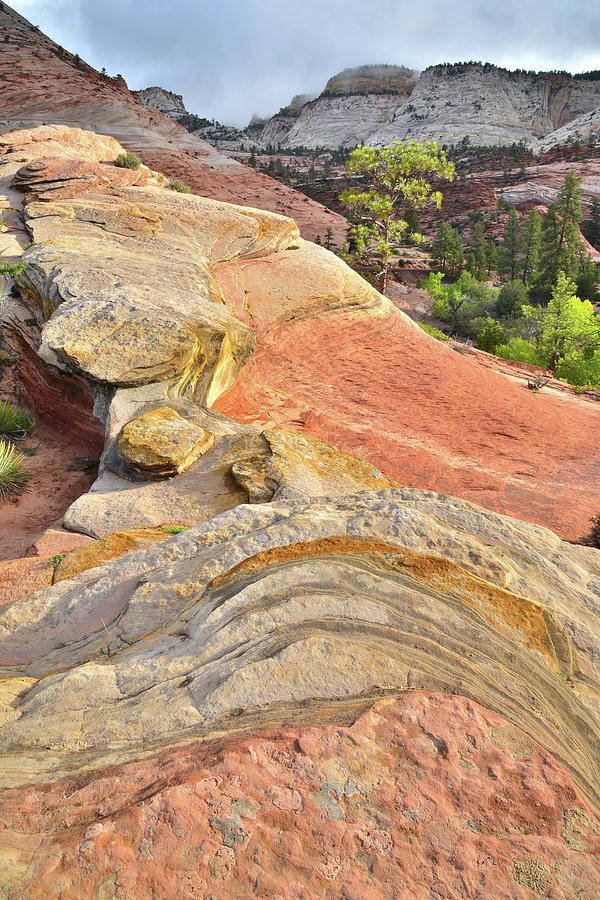 Sandstone Sunrise #1 Photograph by Ray Mathis