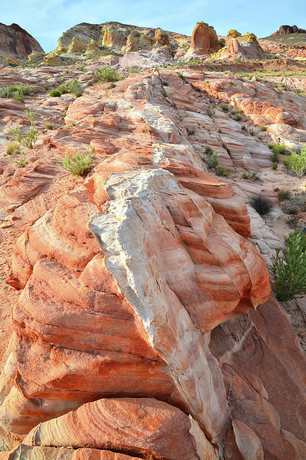 Sandstone Swirls at Sunset in Valley of Fire #1 Photograph by Ray Mathis