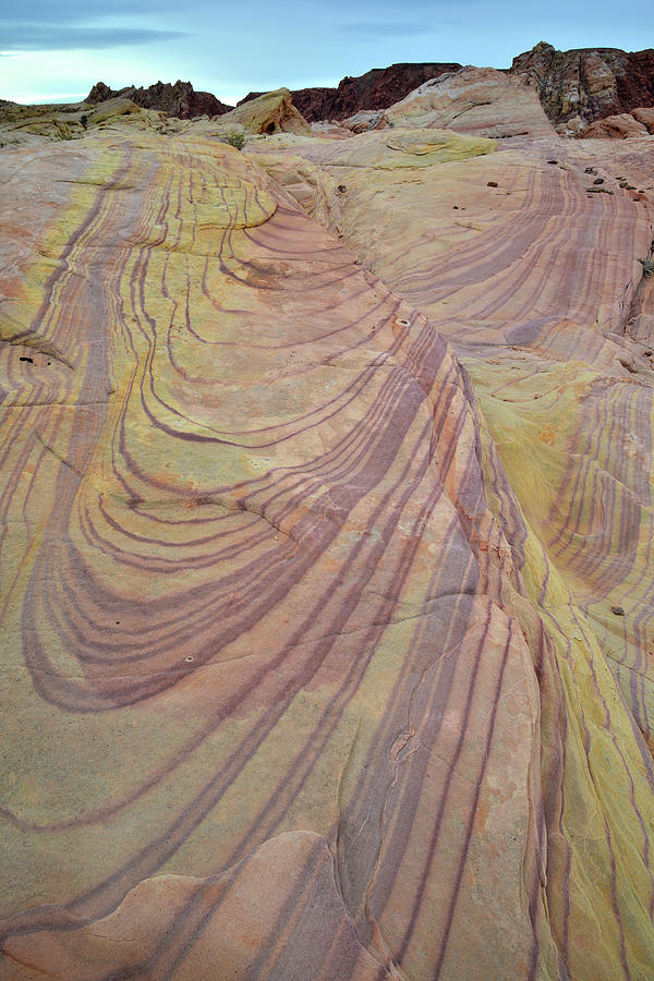 Sandstone Swirls in Valley of Fire #2 Photograph by Ray Mathis