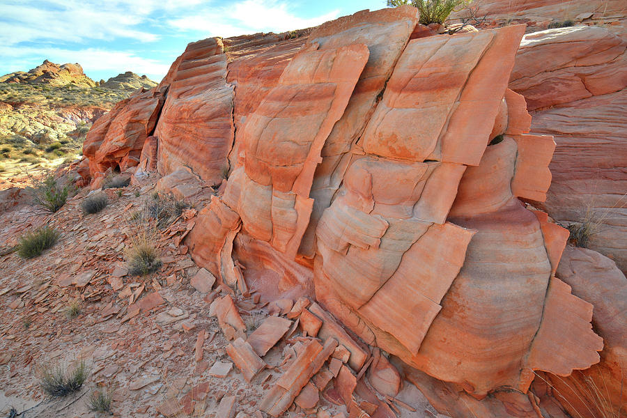 Sandstone Wall in Valley of Fire #2 Photograph by Ray Mathis