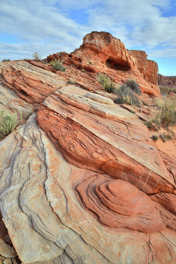 Sandstone Wave in Valley of Fire #1 Photograph by Ray Mathis