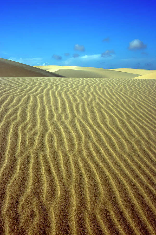 Landscape Photograph - Sandy desert #1 by MotHaiBaPhoto Prints