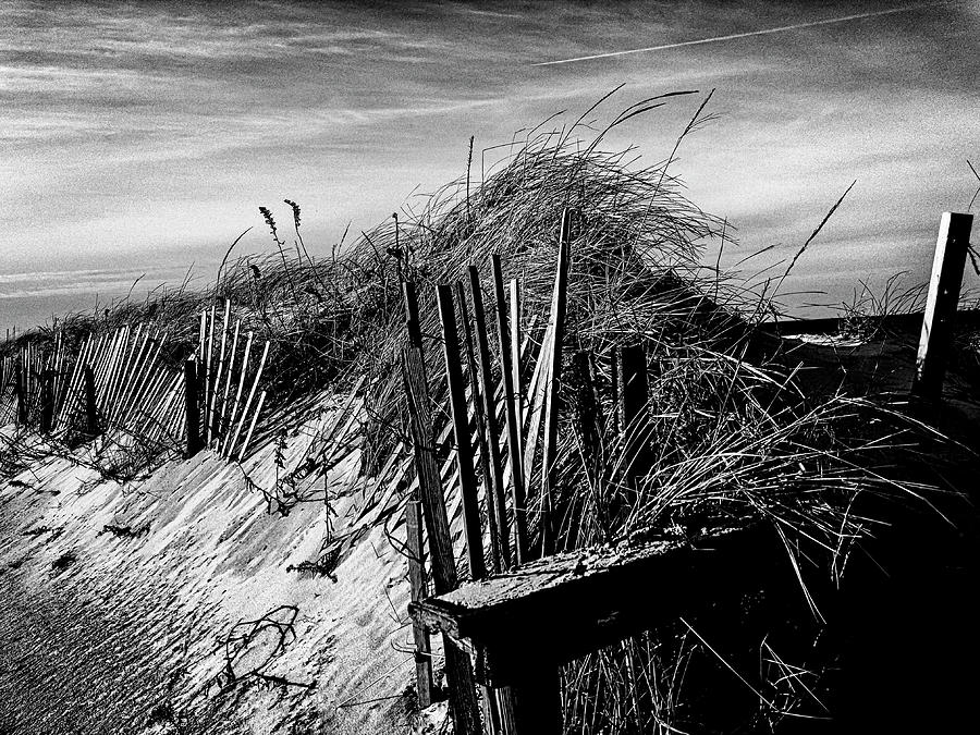 Sandy Neck Winter Light by Frank Winters Sandy Neck Winter Light by Frank Winters
