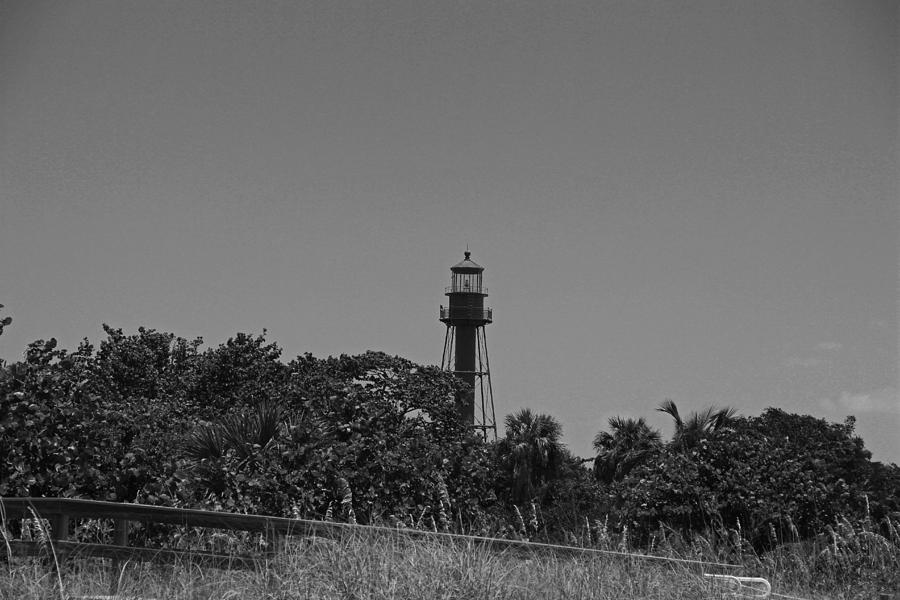 Sanibel Lighthouse in Summer #1 Photograph by Michiale Schneider
