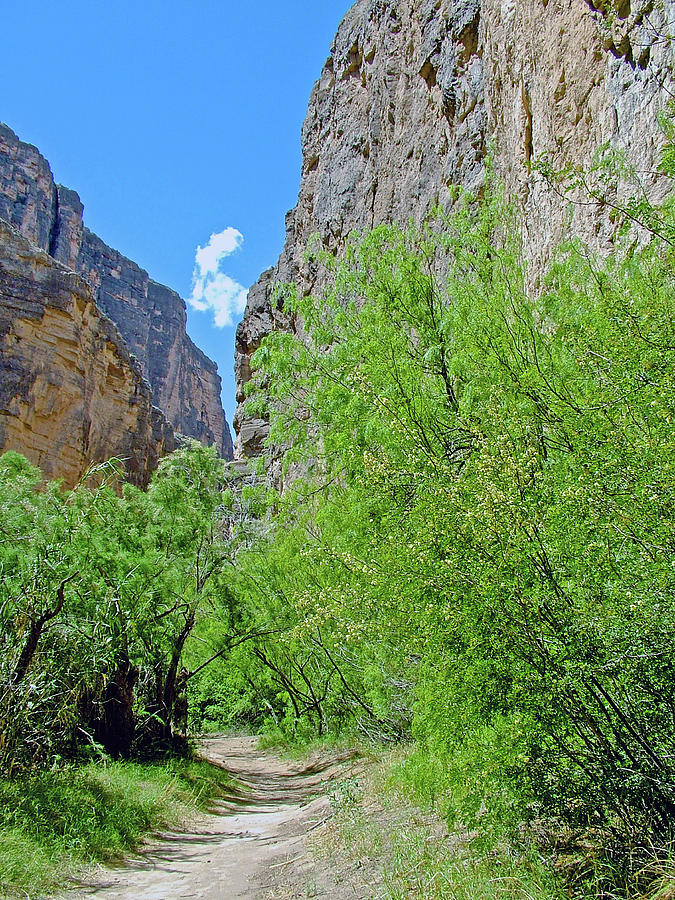 Santa Elena Canyon Trail in Big Bend National Park, Texas  #1 Photograph by Ruth Hager