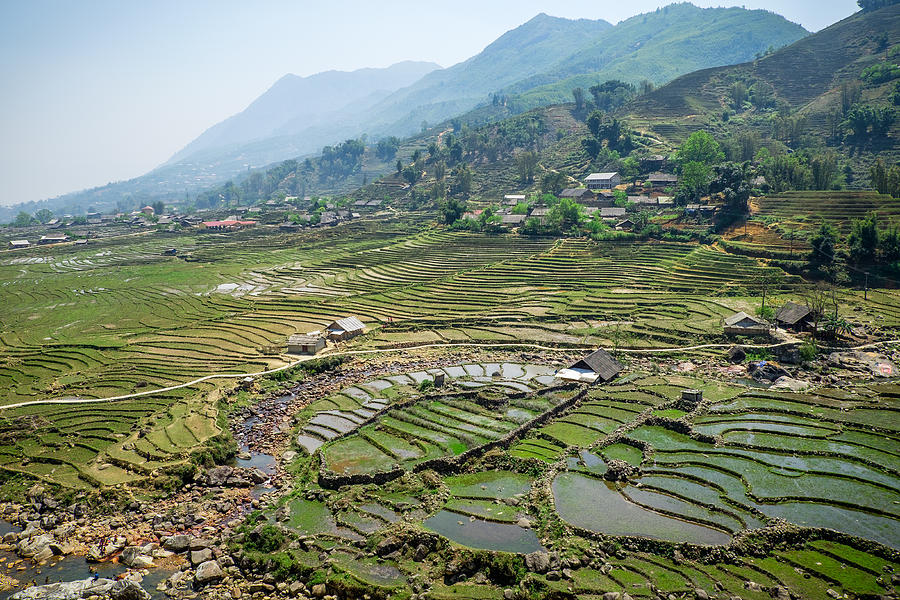 Sapa Photograph - Sapa Rice Fields by Michelle Lee Sapa Photograph - Sapa Rice Fields by Michelle Lee