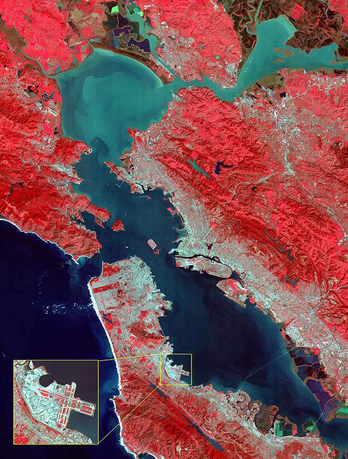 Satellite image of San Francisco Bay Area - infra red #1 Painting by Celestial Images