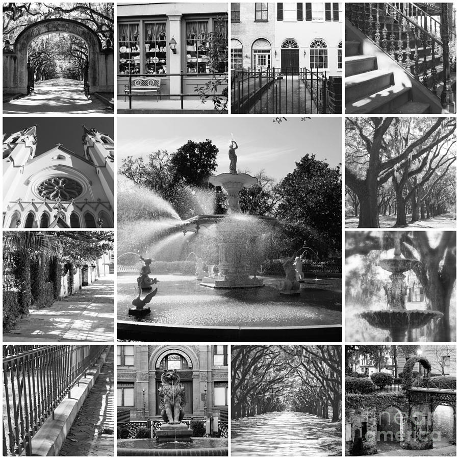 Savannah Collage Black and White #1 Photograph by Carol Groenen