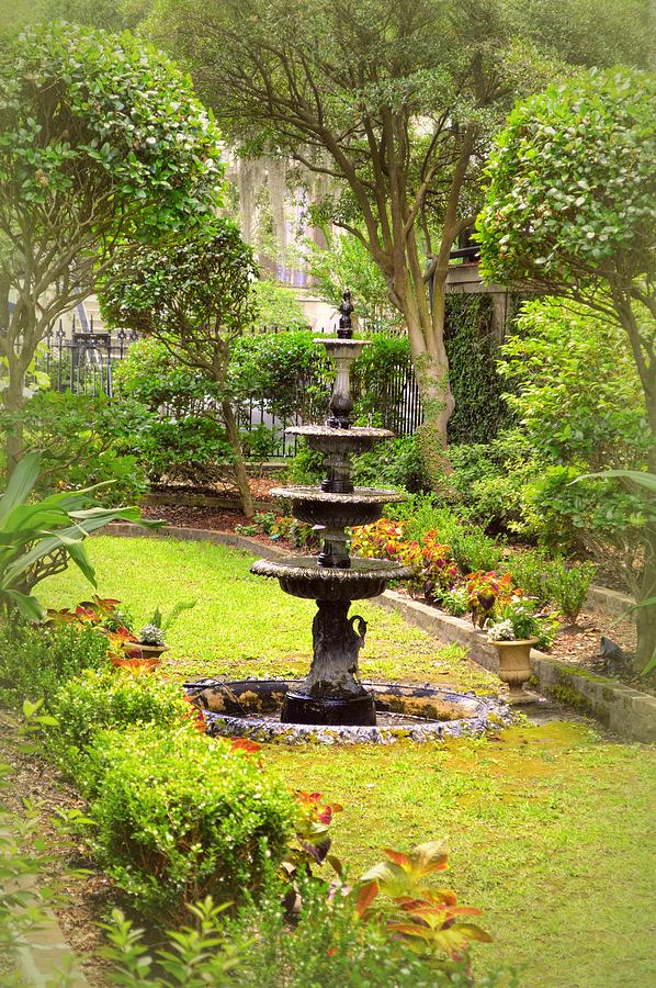 Flower Photograph - Savannah garden  by Linda Covino