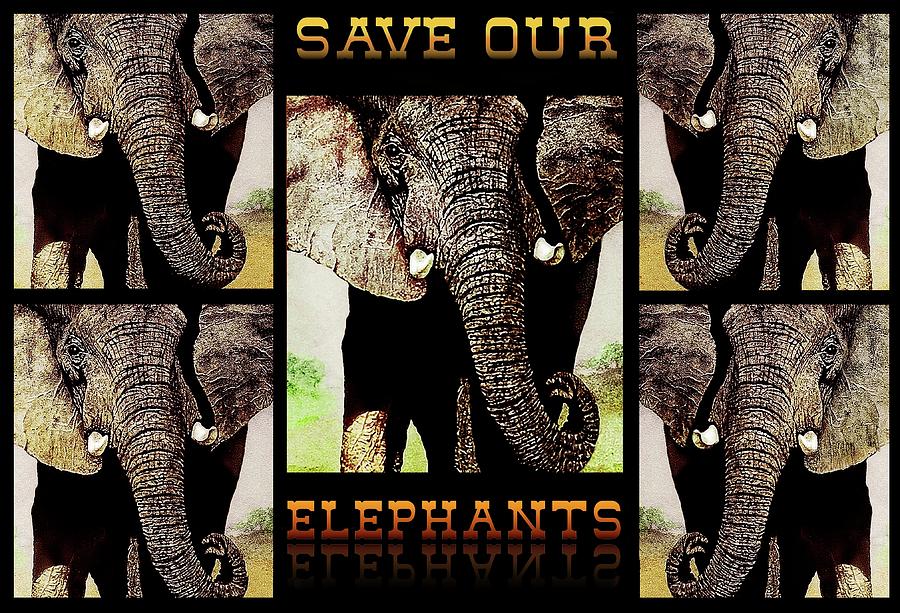 Elephant Painting - Save  Our  Endangered  Elephants by Hartmut Jager