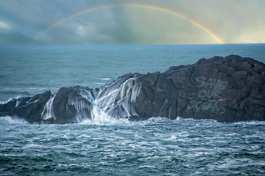 Save our oceans #1 Photograph by Bill Posner