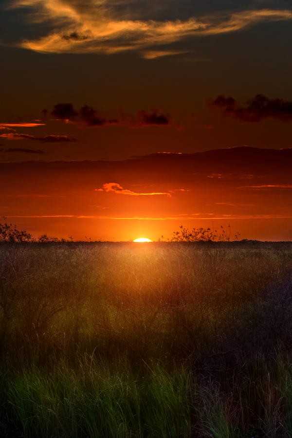 Sunset Photograph - Sawgrass Sunset #1 by Mark Andrew Thomas