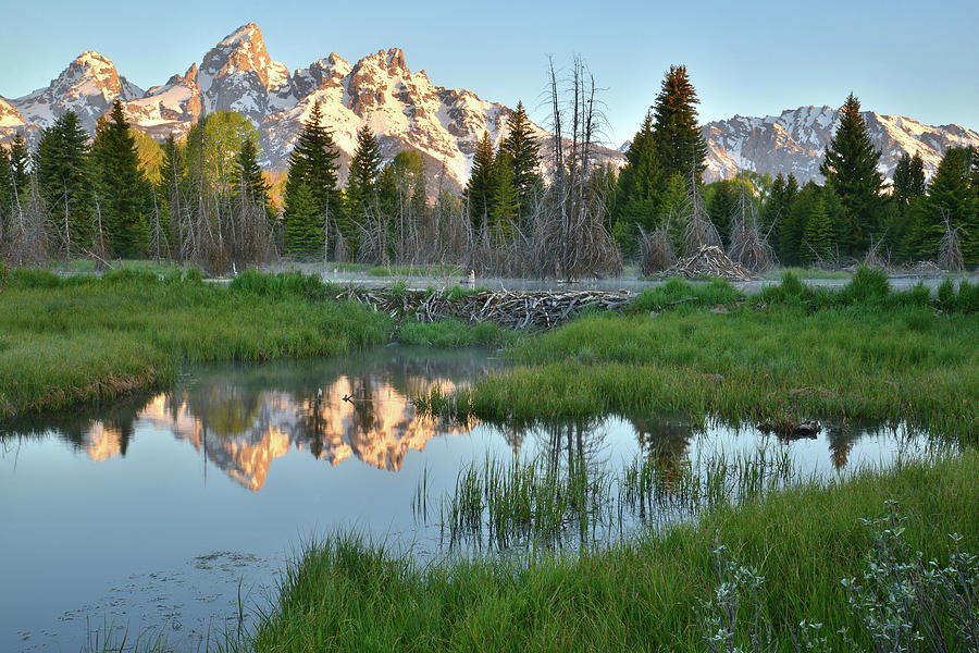 Schwabacher Landing #1 Photograph by Ray Mathis