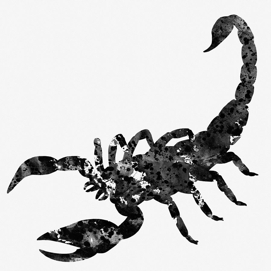 Scorpion Digital Art - Scorpion-black #1 by Erzebet S