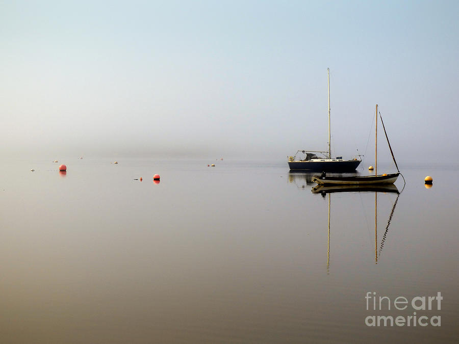 Mist Photograph - Scotch Mist #1 by Lynn Bolt