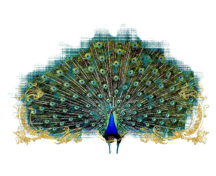 Scroll Swirl Art Deco Nouveau Peacock w Tail Feathers Spread Mixed Media by Audrey Jeanne Roberts