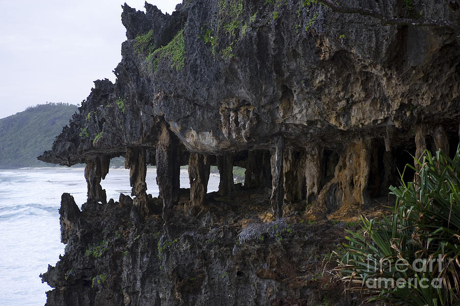 Sea Cliff And Caves, Polynesia #1 Photograph by Jean-Louis Klein & Marie-Luce Hubert