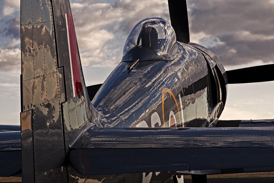 Airplane Photograph - Sea Fury Reflections #1 by Rick Pisio