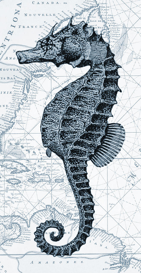 Sea Horse Nautical Chart #1 Digital Art by Erin Cadigan