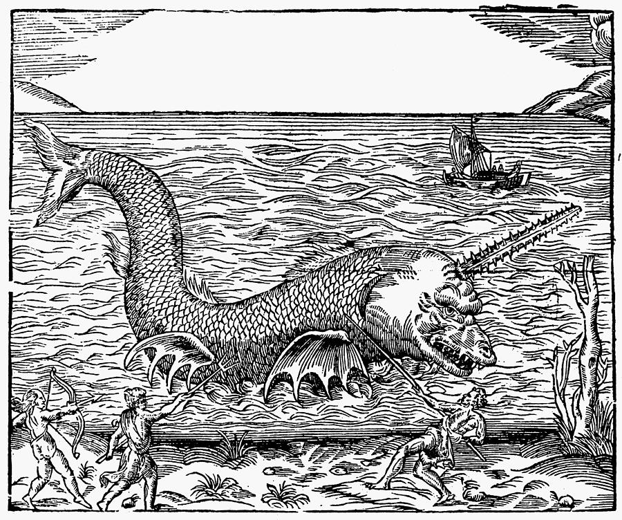 SEA MONSTER, 16th CENTURY Photograph by Granger | Fine Art America