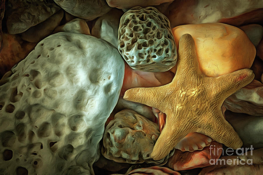 Sea Pebbles With Shells And Starfish #1 Digital Art by Michal Boubin