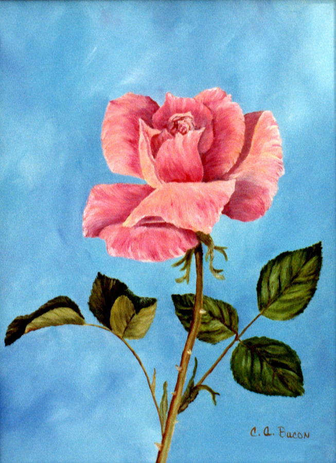 Sea Shell Rose Painting by Charlotte Bacon