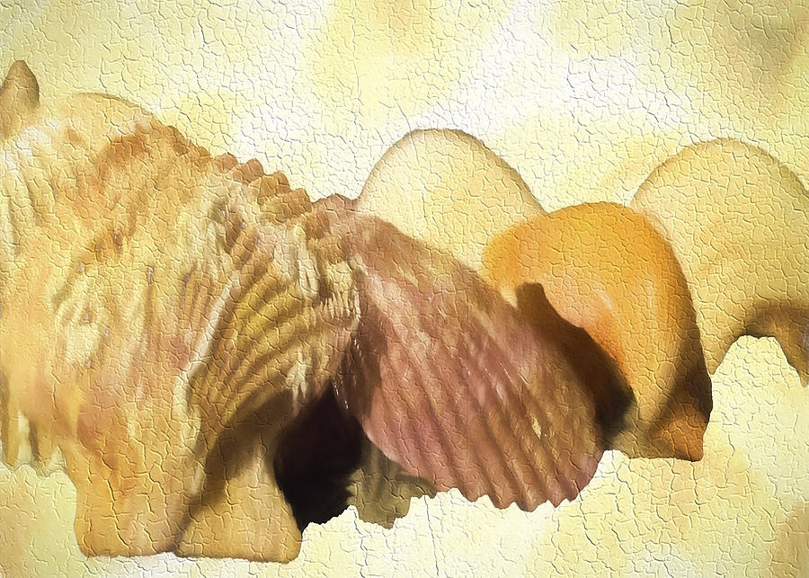 Sea shells Color 2 Digital Art by Cathy Anderson