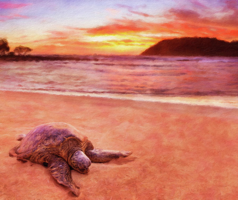 Sea Turtle at Moloaa Beach, Kauai, Hawaii #1 Photograph by Steven Heap