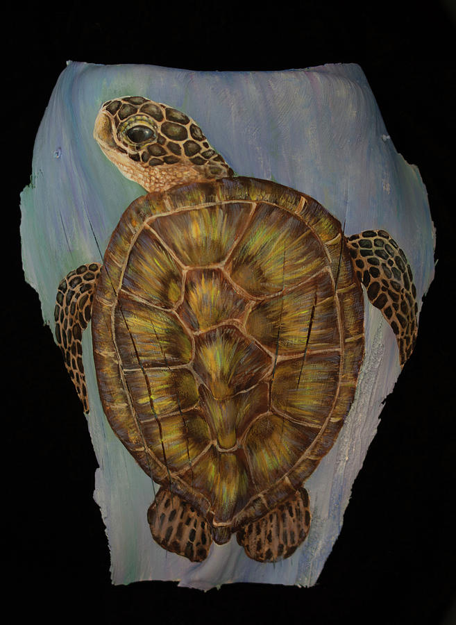Sea Turtle #1 Painting by Nancy Lauby