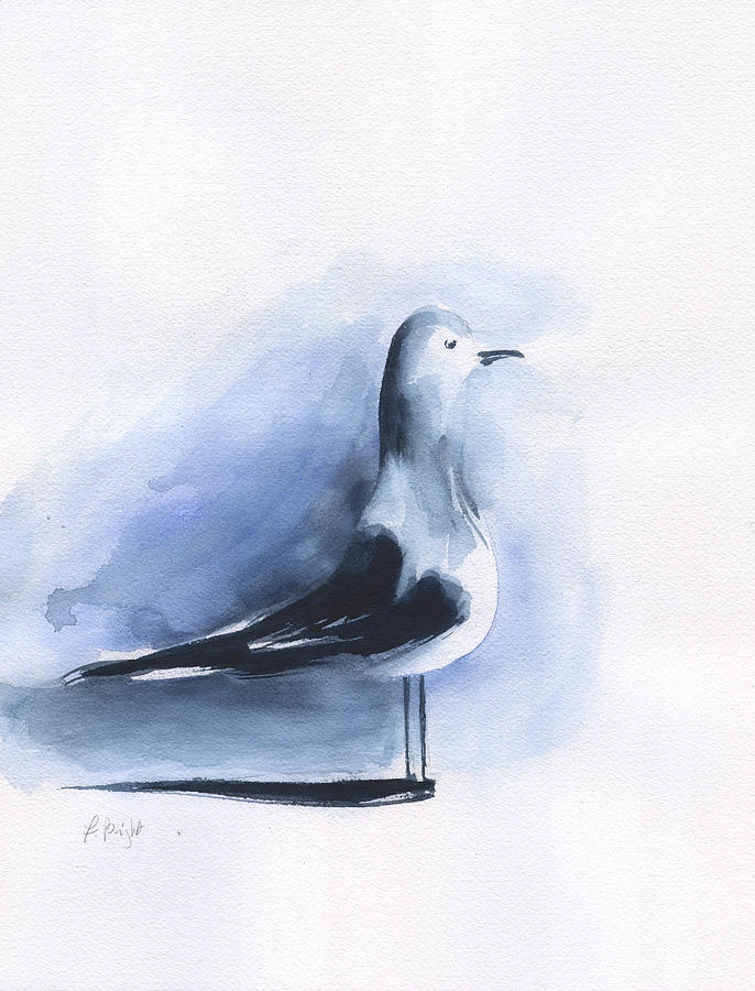 Seagull #1 Painting by Frank Bright