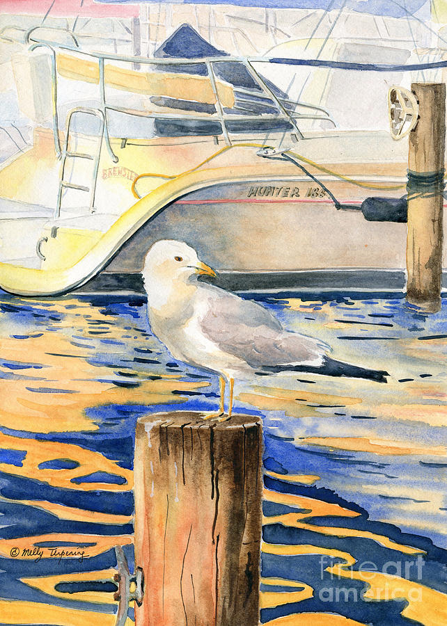 Seagull #2 Painting by Melly Terpening