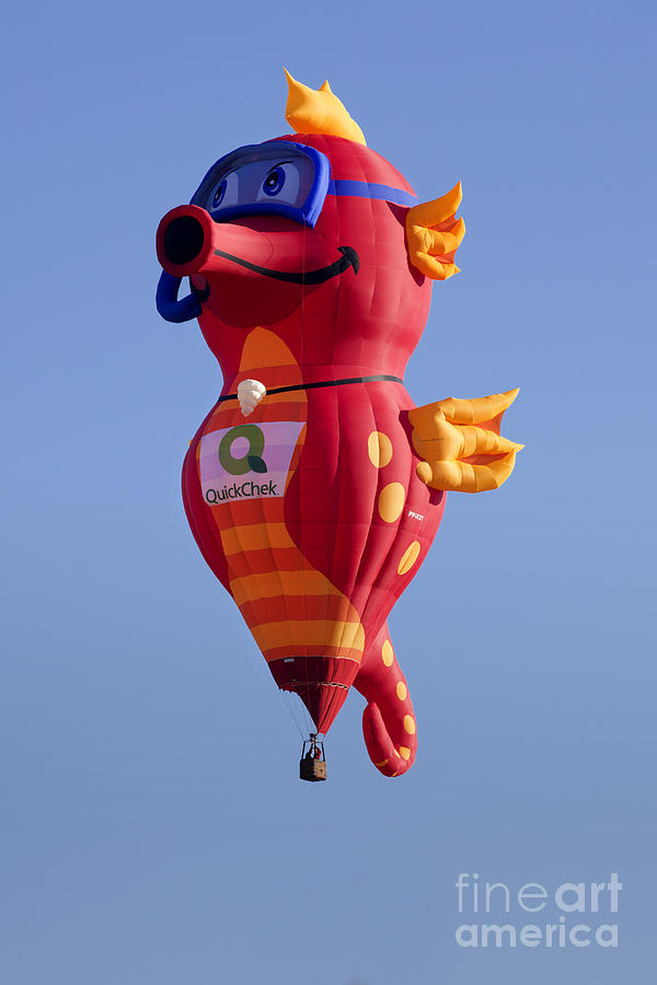 Seahorse Hot Air Balloon #1 Photograph by Anthony Totah