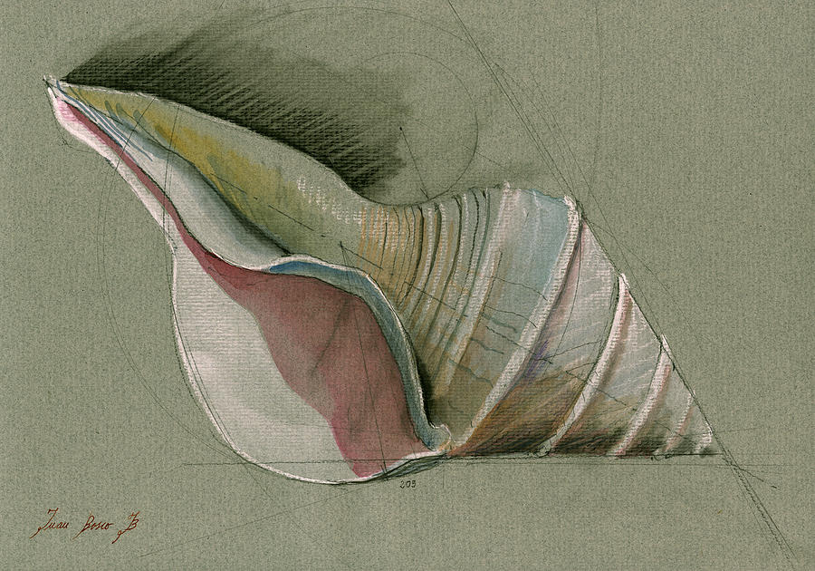 Seashell Painting - Seashell art painting #1 by Juan  Bosco