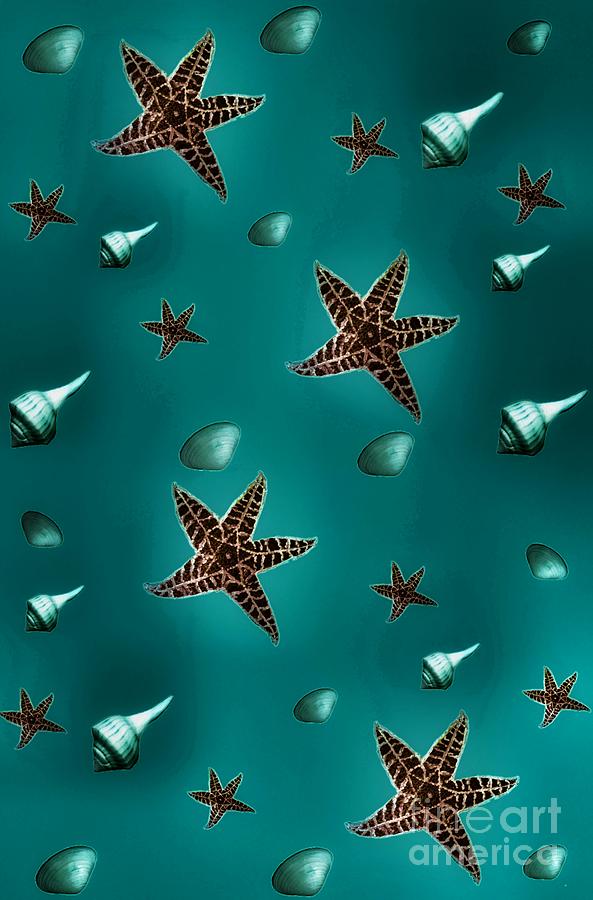 Seashells And Starfish Teal  Digital Art by Rachel Hannah